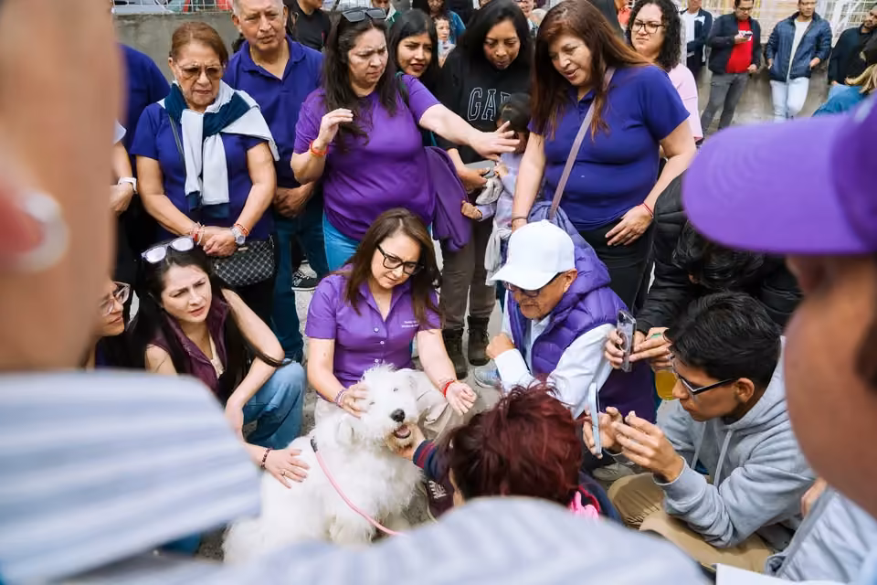Esterilización a mascotas y colada morada · fotografía 5