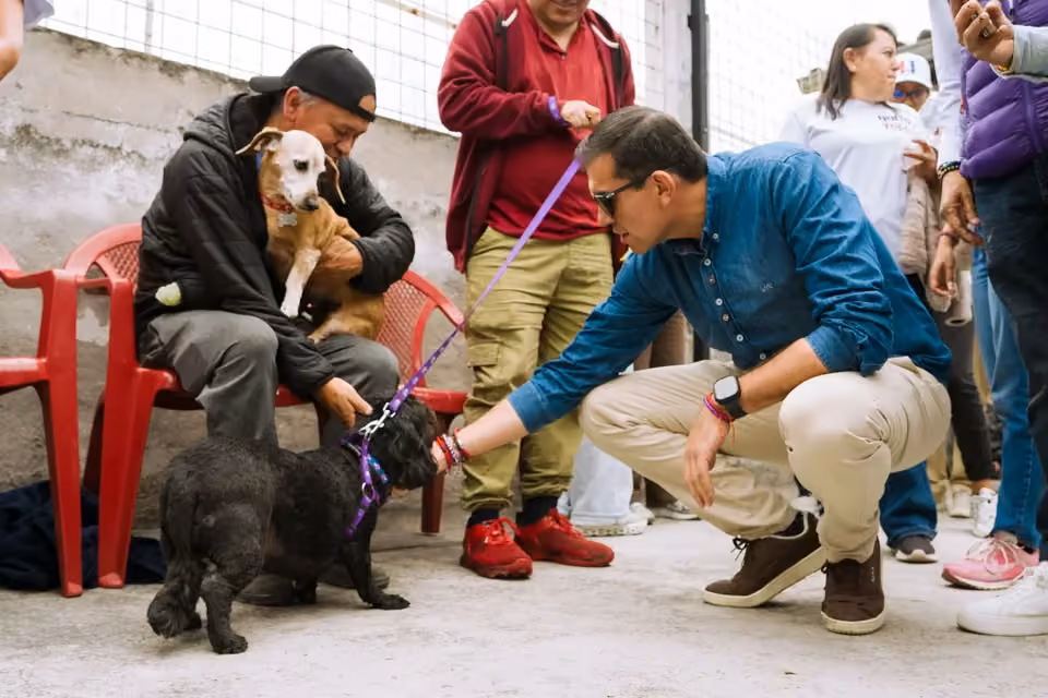 Esterilización a mascotas y colada morada · fotografía 7